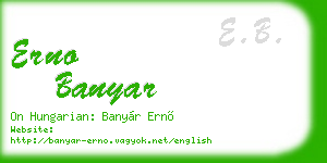 erno banyar business card